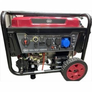 موتور برق SKN SGLNG14000E سه گانه سوز تکفاز 9KW خروجی ATS